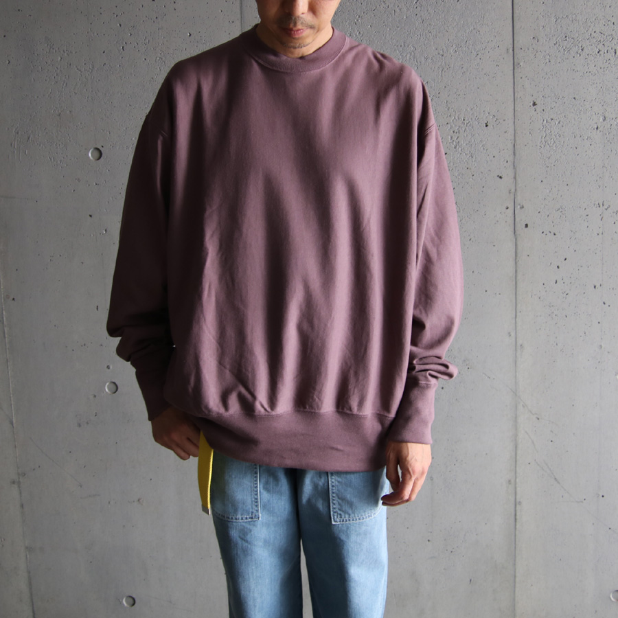 alvana (アルヴァナ) AFW-25037 [ 空紡 BD SWEAT TEE SHIRTS ] 空乏天竺 スウェット L/S T シャツ