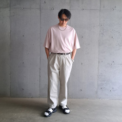 alvana (アルヴァナ) ALV-00117 [ 空防 S/S TEE SHIRTS ] 空紡天竺 ショートスリーブ クルーネック TEE シャツ (LEAF PINK)